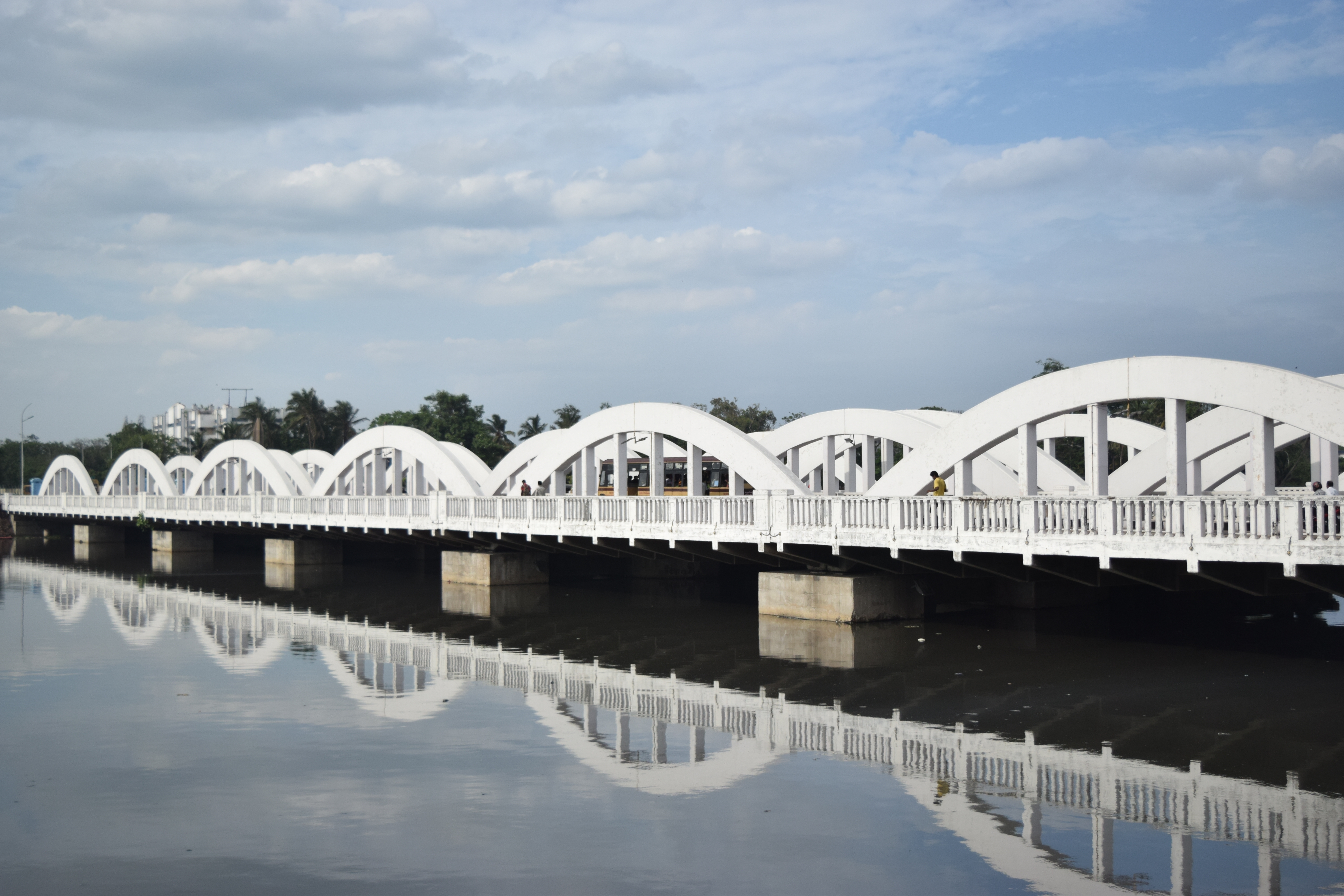 Climate Action and Environment